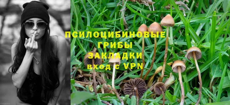 где можно купить наркотик  Бийск  Псилоцибиновые грибы MAGIC MUSHROOMS 